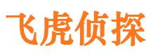 灵寿市私家侦探